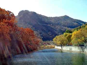 新澳天天开奖资料大全旅游团，九州电力